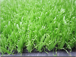 FD8005人工草坪