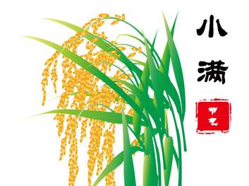 小滿，滿而不損。