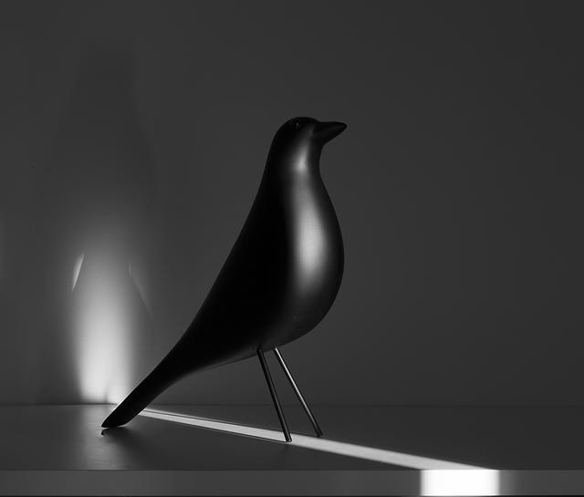 純白極簡風，美的驚心動魄！