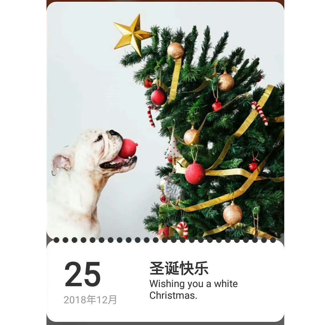 圣誕節來到，地多寶祝：圣誕快樂！